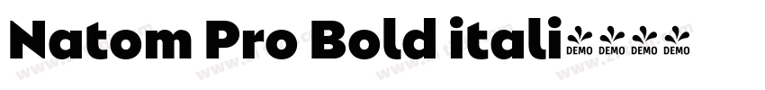 Natom Pro Bold itali字体转换